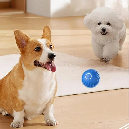 Playful Pet Adventure Ball