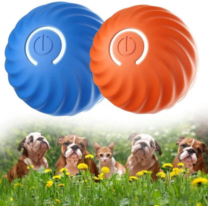 Playful Pet Adventure Ball